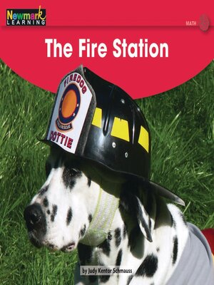 cover image of The Fire Station